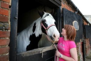 Woman and horse at stables Barleylands Equestrian Centre Essex