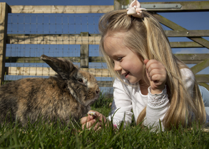 girl and a rabbit at barleylands farm park billericay essex