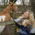 Mum and son feeding a goat at barleylands