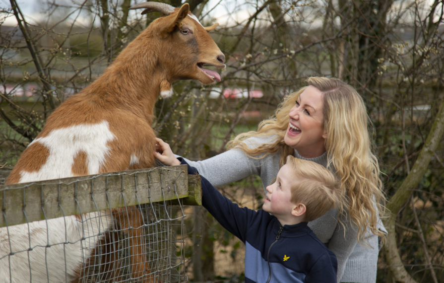 Mum and son feeding a goat at barleylands